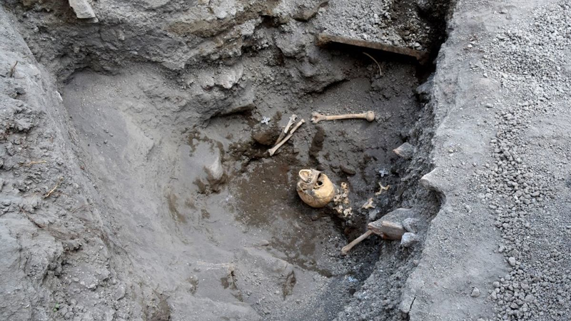 Illustration for article titled Skull of Crushed Pompeii Victim Found ‘Intact’